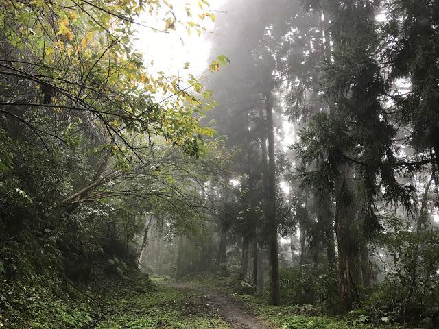 山是一所學校，學習打開心胸接受大自然的一切！