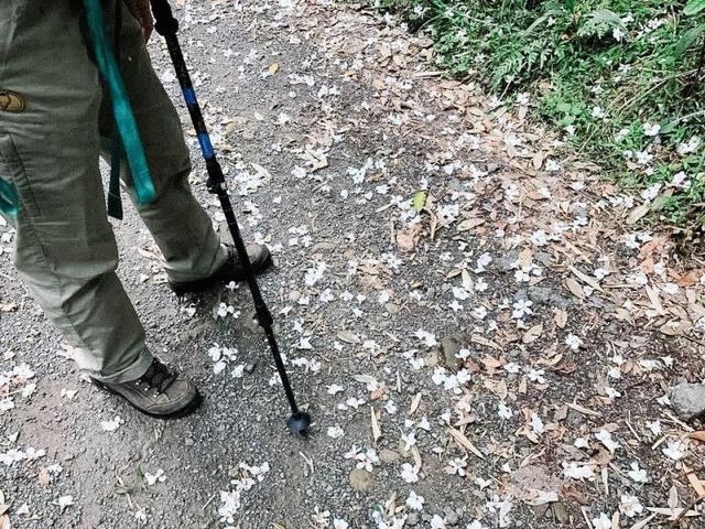 cb654209d5a24d038eaa82546c64cac1