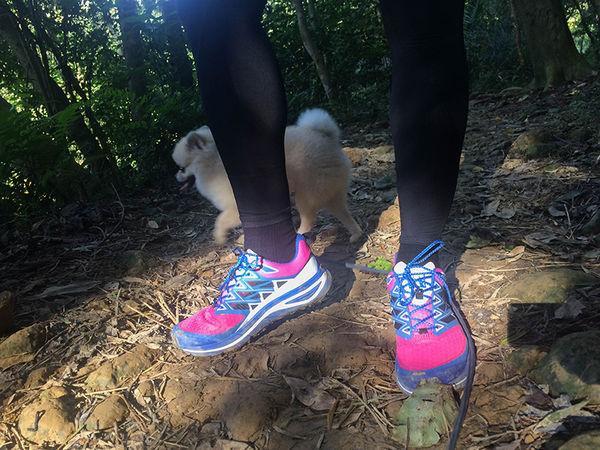 越野跑鞋中的戰斗機，泰尼卡閃電越野跑鞋實測