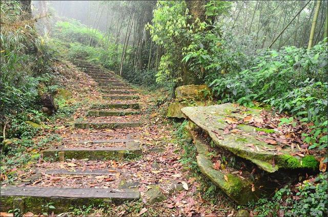 d458685dd516451ca52d0768d6545f53 d458685dd516451ca52d0768d6545f53