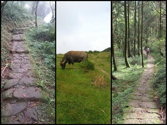 d634de29a63641fc8923eba9af74c8db d634de29a63641fc8923eba9af74c8db