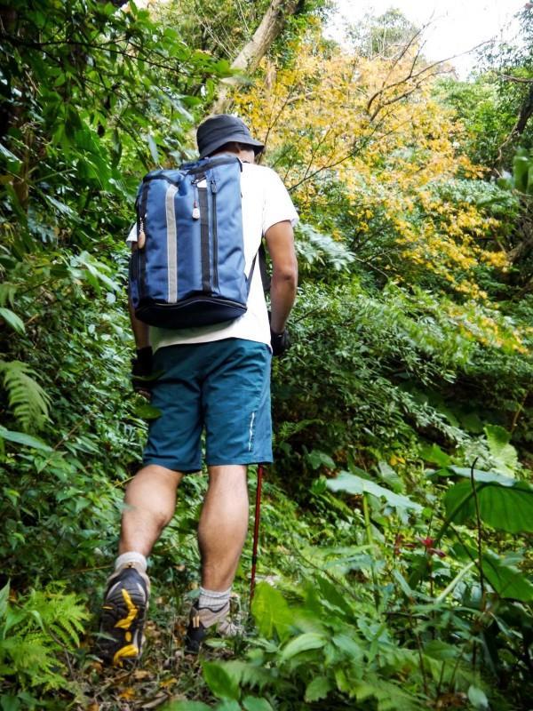 d9a94dc184914db39933e8eb66ae9041