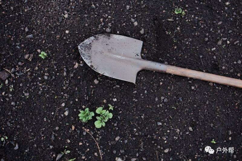 e1674c4db7194398a6a469f7dedc8b01 e1674c4db7194398a6a469f7dedc8b01