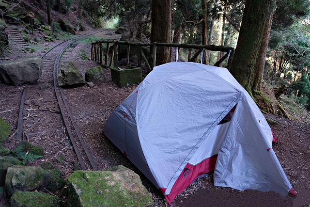 e9d6024bddb041899c780357a3cb2acf