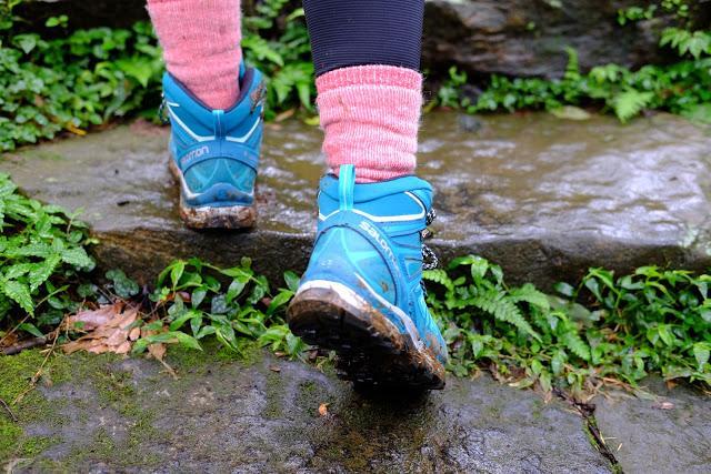 f1cf82e21414491b993e47509ac9a830