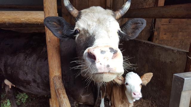 f3c10ad224114f1ba97dab1a8013528d