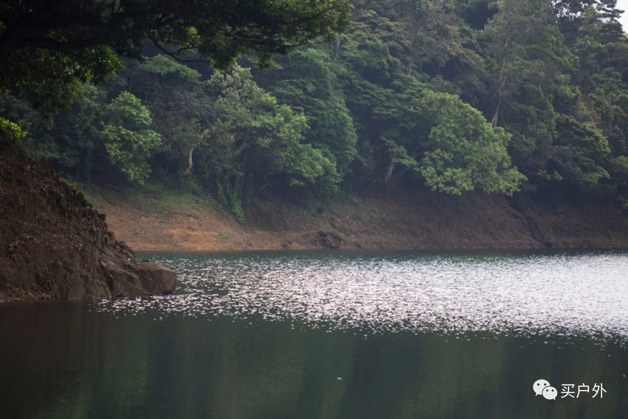 12818602f82e4557a194c4b9d0a430a8 12818602f82e4557a194c4b9d0a430a8