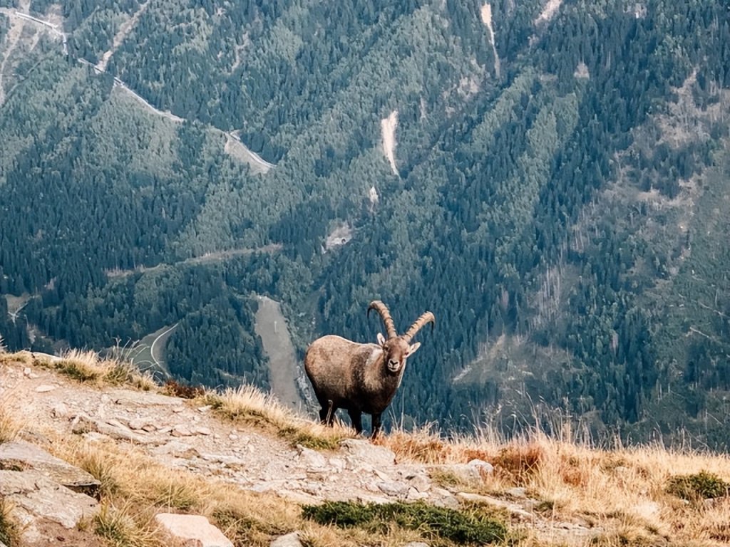 徒步路線勃朗峰環(huán)線TMB，超詳細入門攻略，踏上勃朗峰環(huán)線的第一步