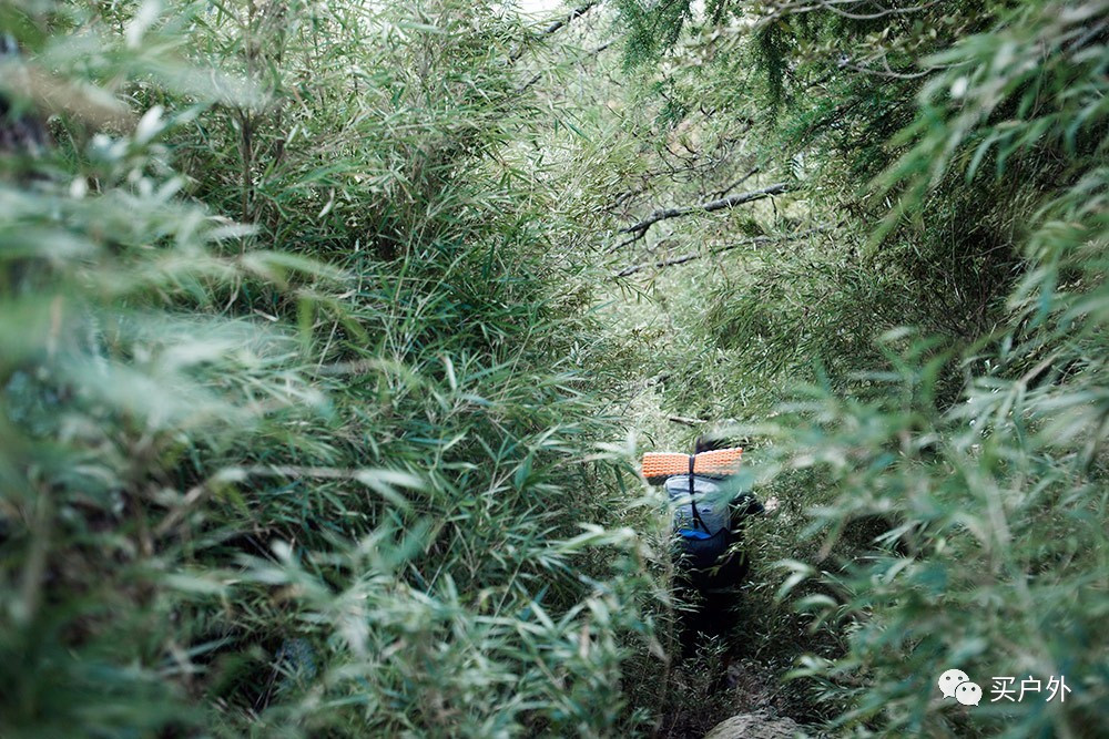 下半身該如何穿搭？教你如何選擇適合山野戶外活動的長褲
