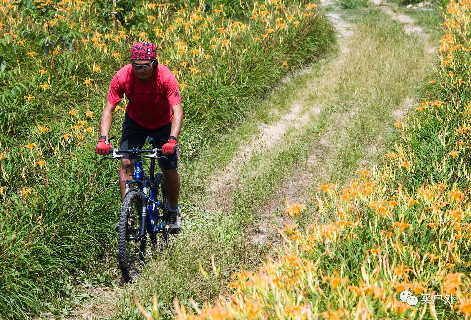 c81ac61c8b6a4988b7daf34e19063de9 c81ac61c8b6a4988b7daf34e19063de9