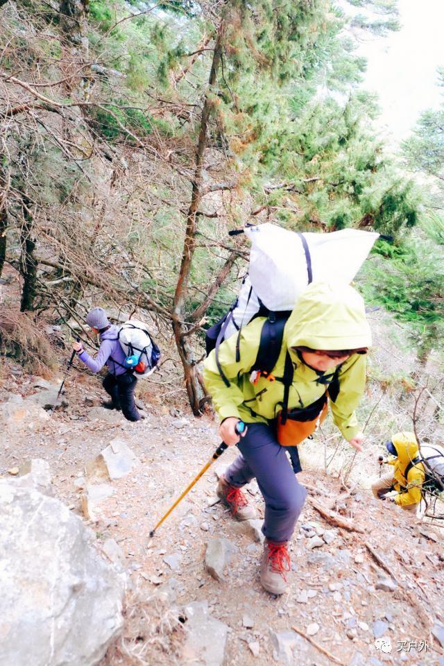 d058f54dafaf4b4ab375ee24a042af25