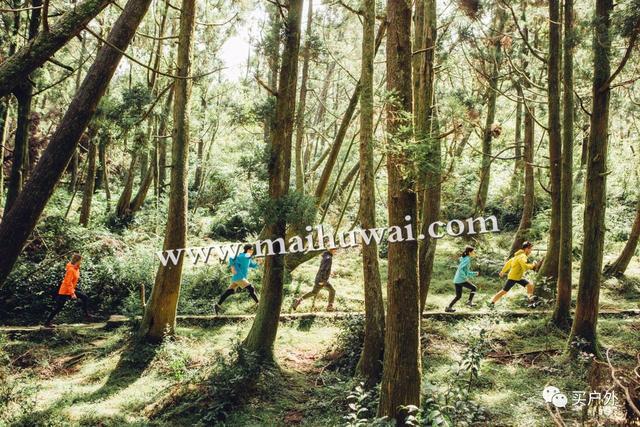 fa297f1804924b6c98846c169cba12dd