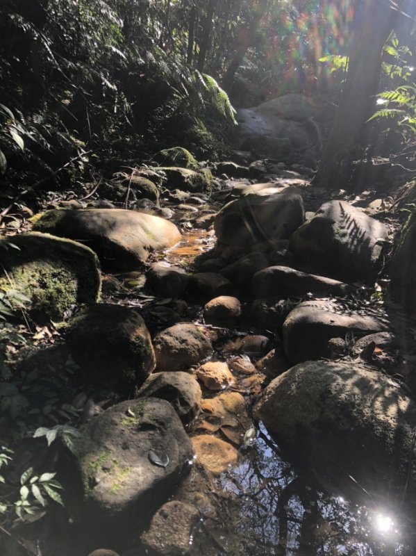 201953rnitn7iu670wawhi 邁樂MERRELL登山鞋體驗,穿了兩天走了70多公里